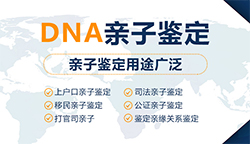 在[威海]怀孕几个月需要怎么办理亲子鉴定，威海产前亲子鉴定要多少钱